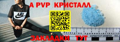 мет Кингисепп