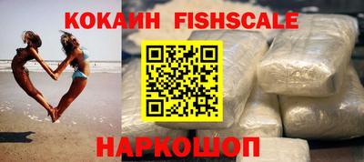 мет Кингисепп