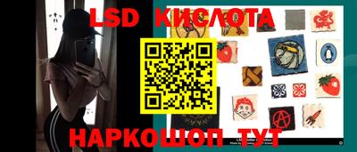 шишки Кимры