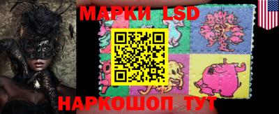 шишки Кимры