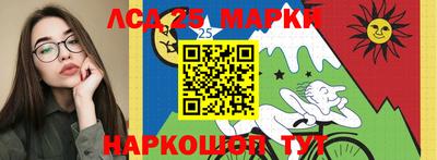 шишки Кимры