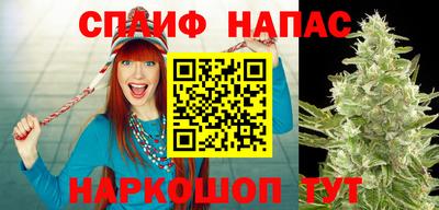 шишки Кимры