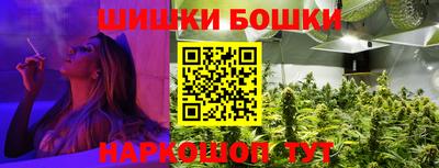 мет Кингисепп