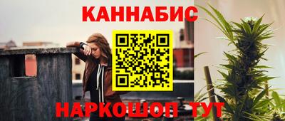 мет Кингисепп