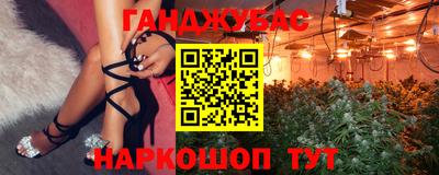 мет Кингисепп