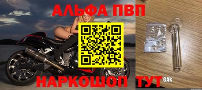 мет Кингисепп